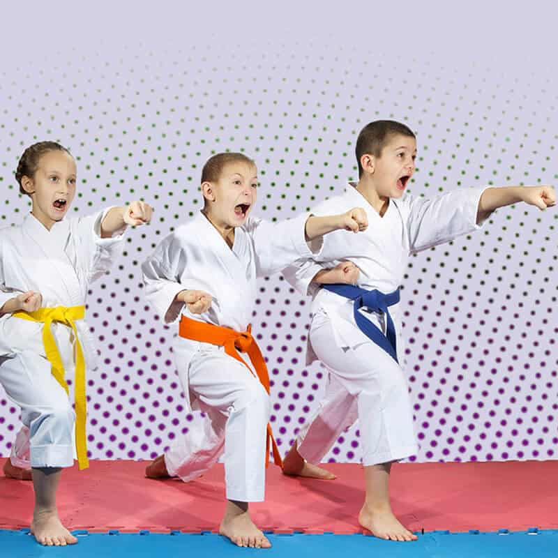 Martial Arts Lessons for Kids in Huntington Station NY - Punching Focus Kids Sync